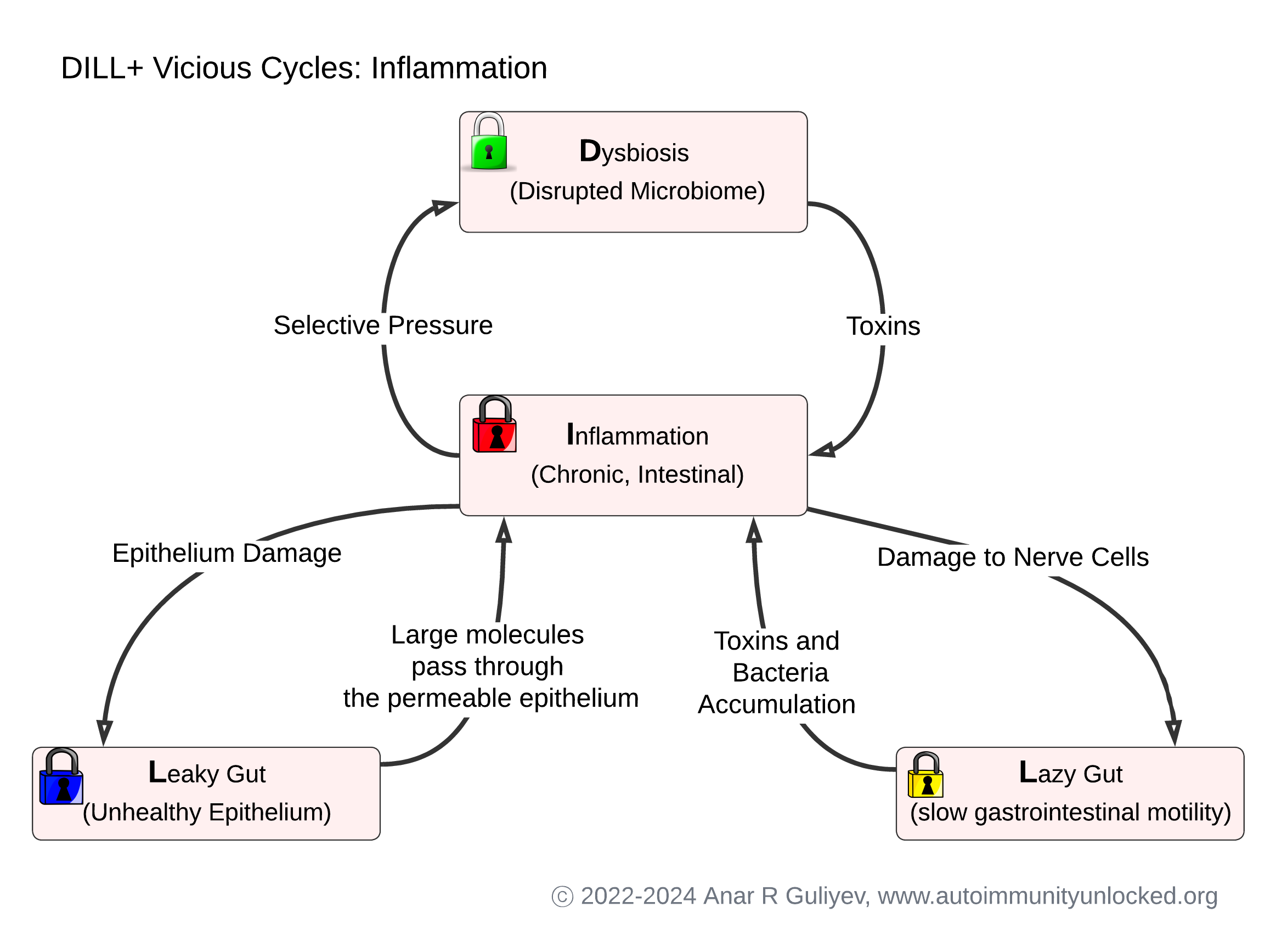 DILL+ Vicious Cycles: Inflammation