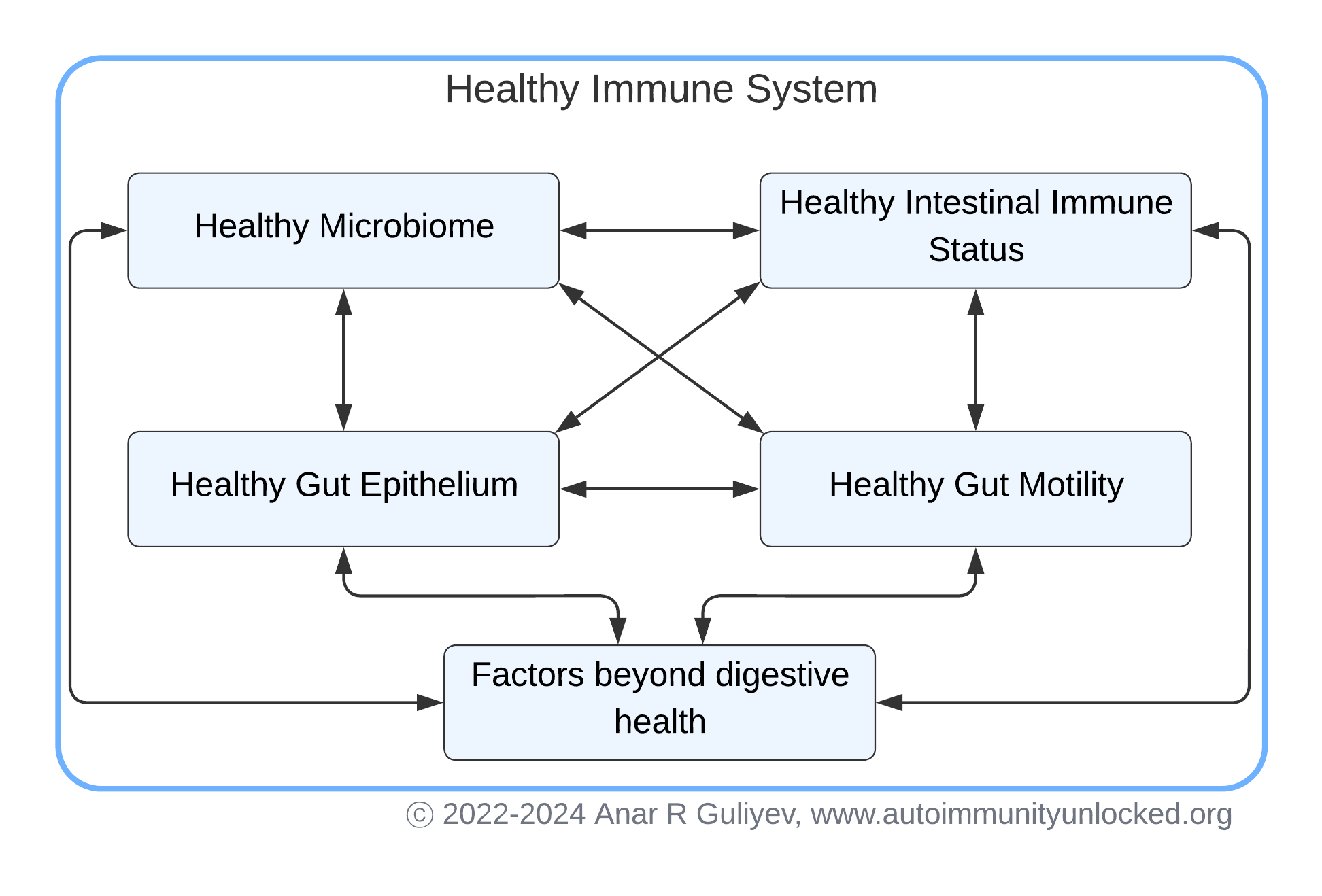 Healthy Immune System Connections