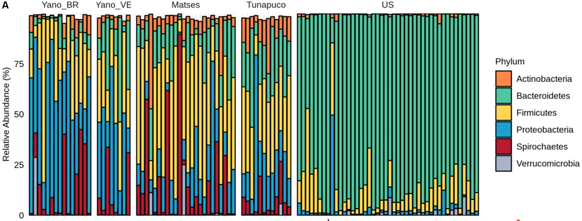 Gut Microbiota Biomarkers and Functional Diversity Within an Amazonian Semi-Nomadic Hunter–Gatherer Group