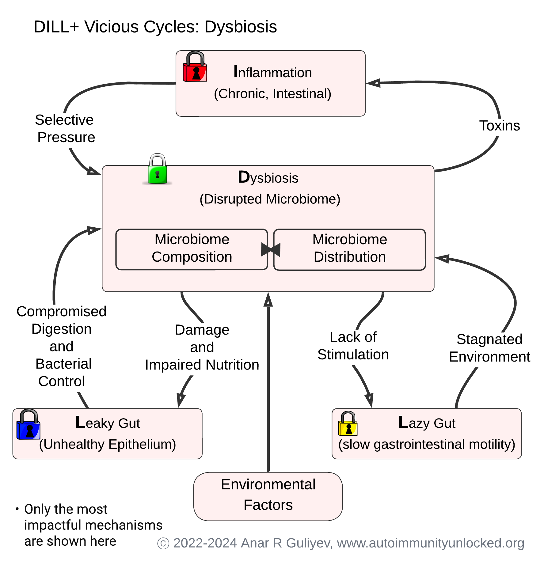 DILL+ Vicious Cycles: Dysbiosis
