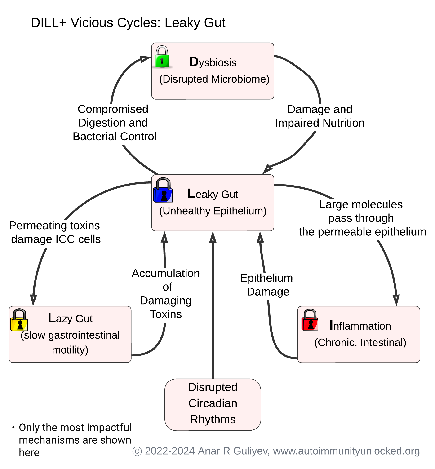 DILL+ Vicious Cycles: Leaky Gut