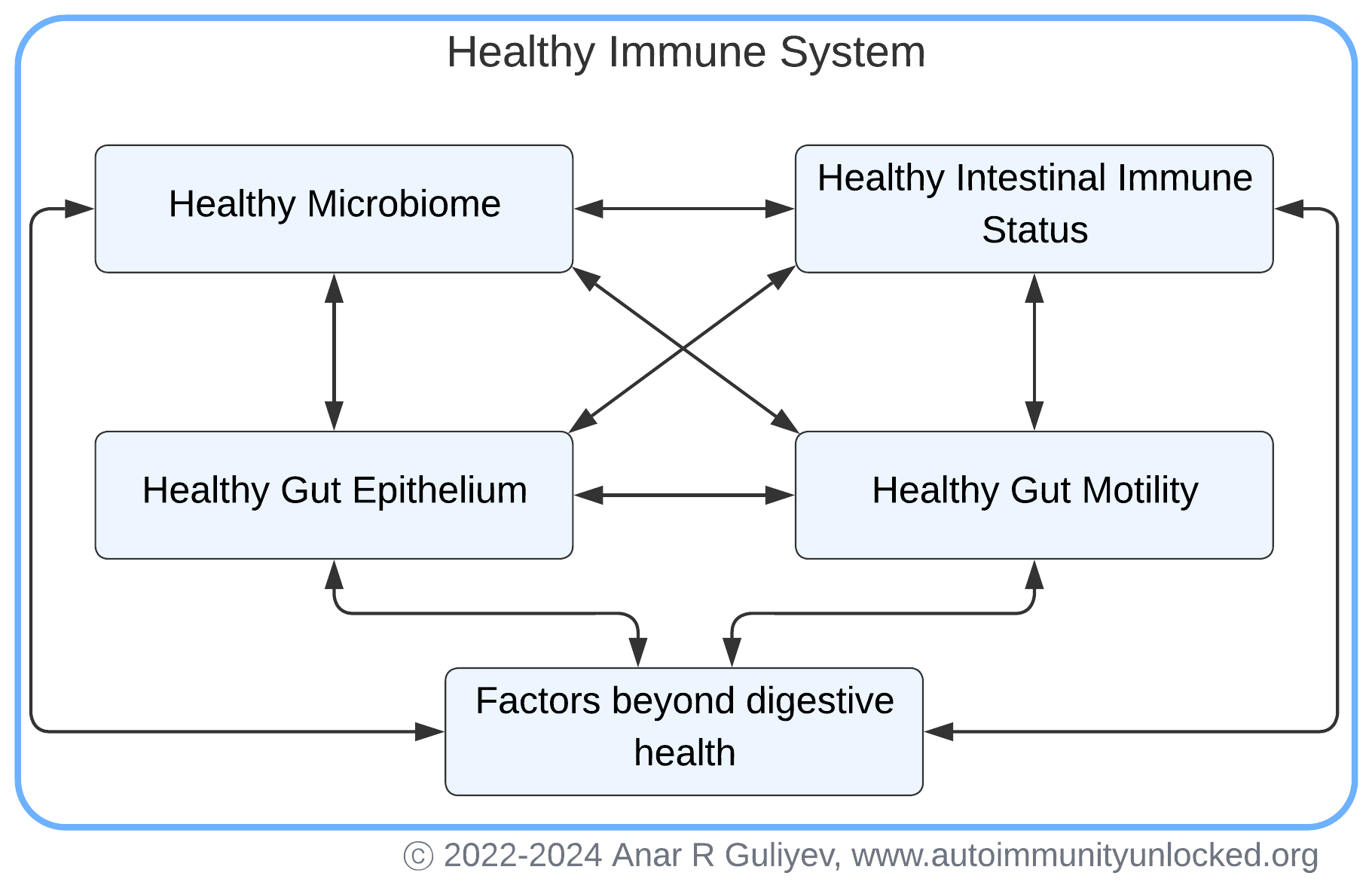 Healthy Immune System Connections